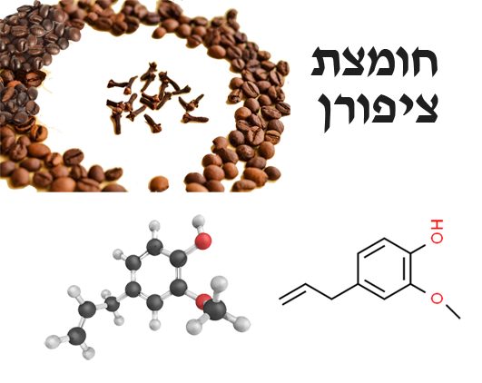 eugenol