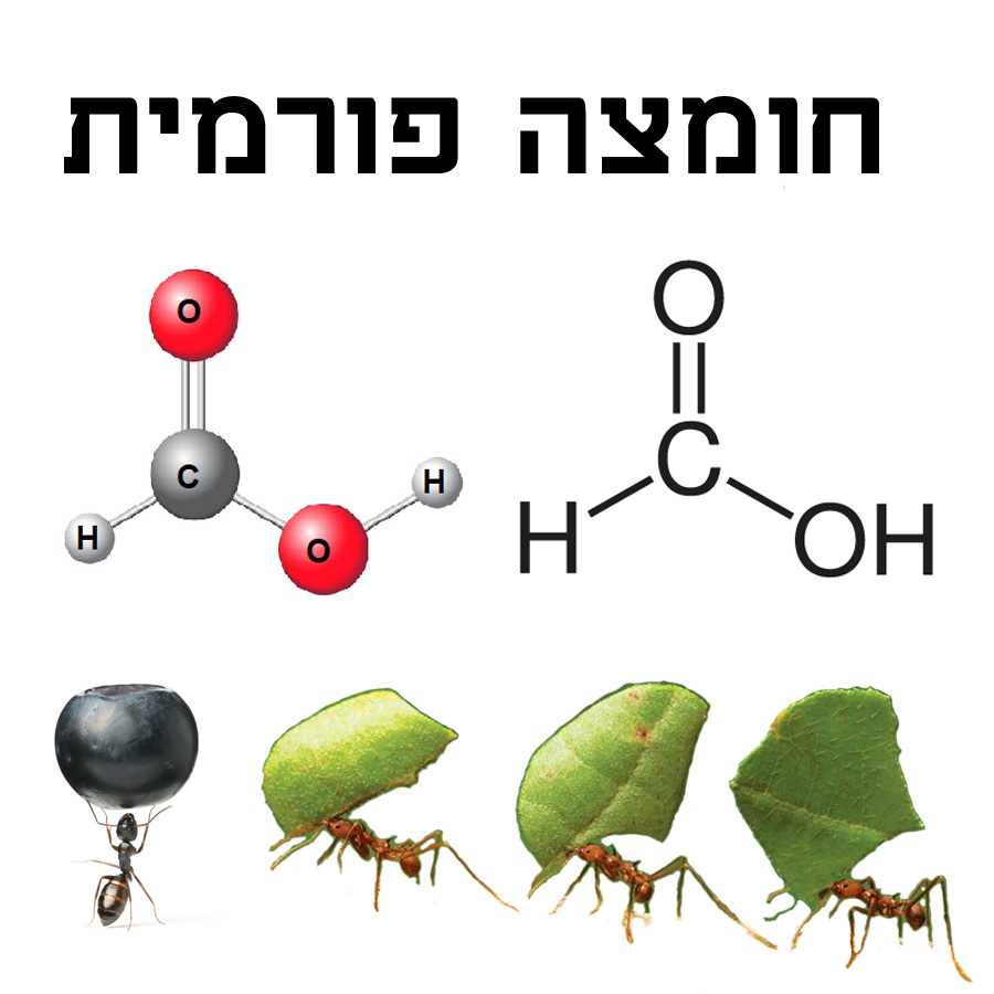 formic-acid